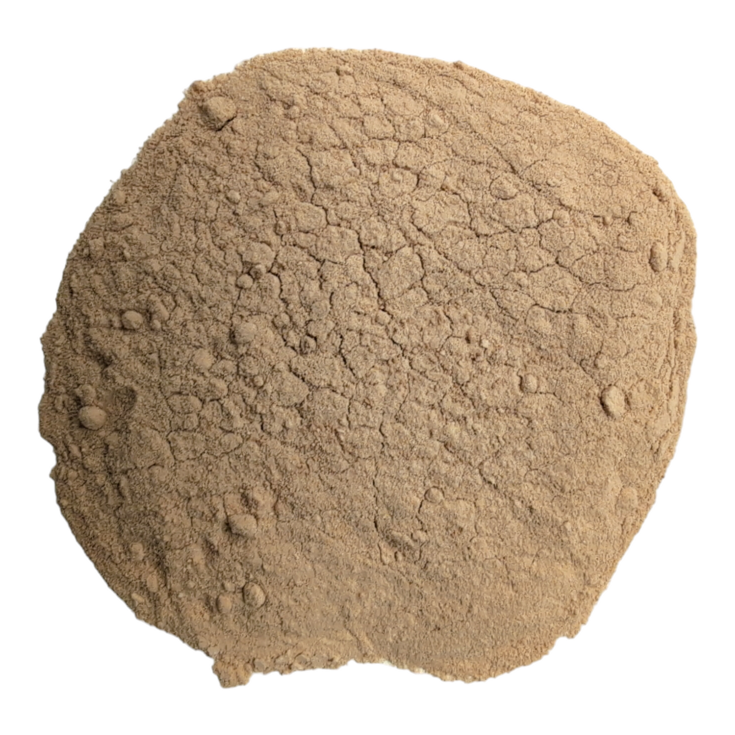 BuildASoil Quillaja Saponaria Extract Powder