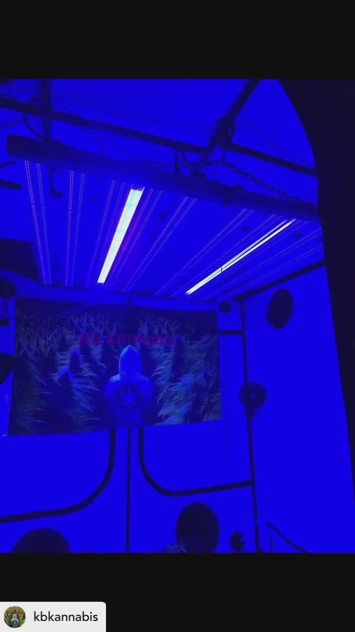 Mammoth Lighting - 10 Bar 930w - Nova Sun Series Tunable Full Spectrum LED + UV