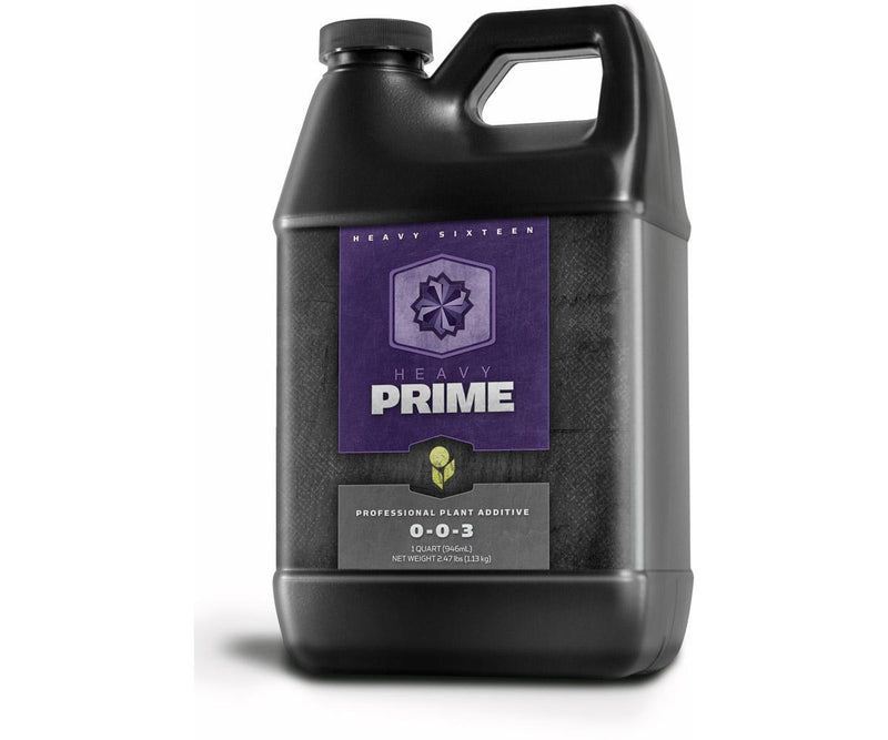 Heavy 16 Prime - Quart