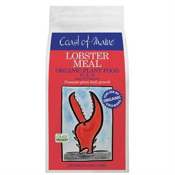 Coast of Maine Lobster Meal