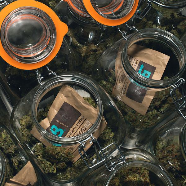 Boveda Humidity Control Packs