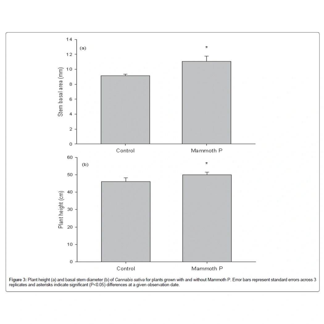 Mammoth P Active Microbials