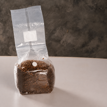 The Mushroom Block - All-In-One Grow Bag