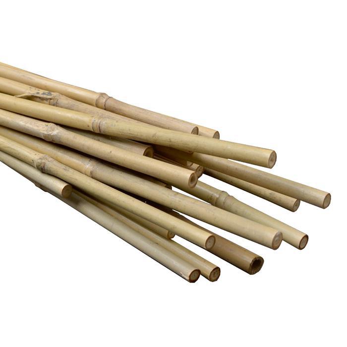 Natural Bamboo