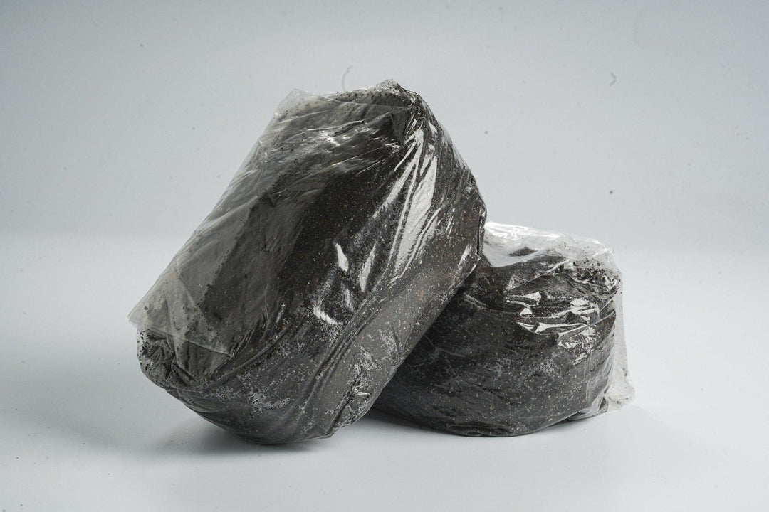 The Mushroom Block - Sterilized Substrate Bag