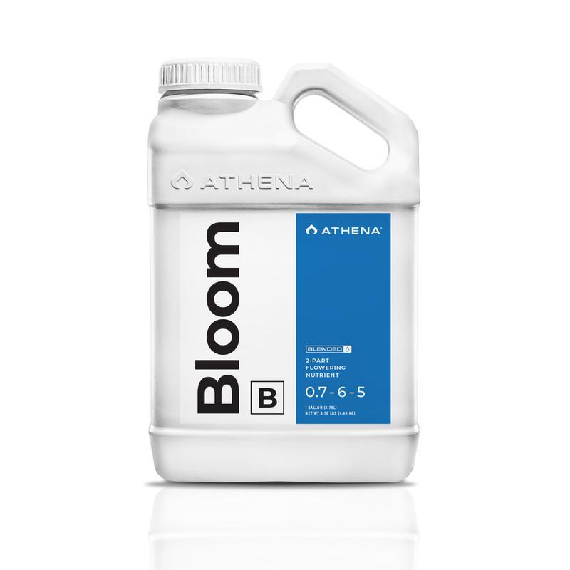 Athena Bloom B - 1 gallon