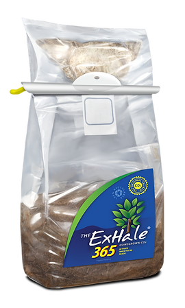 ExHale CO2 Bag