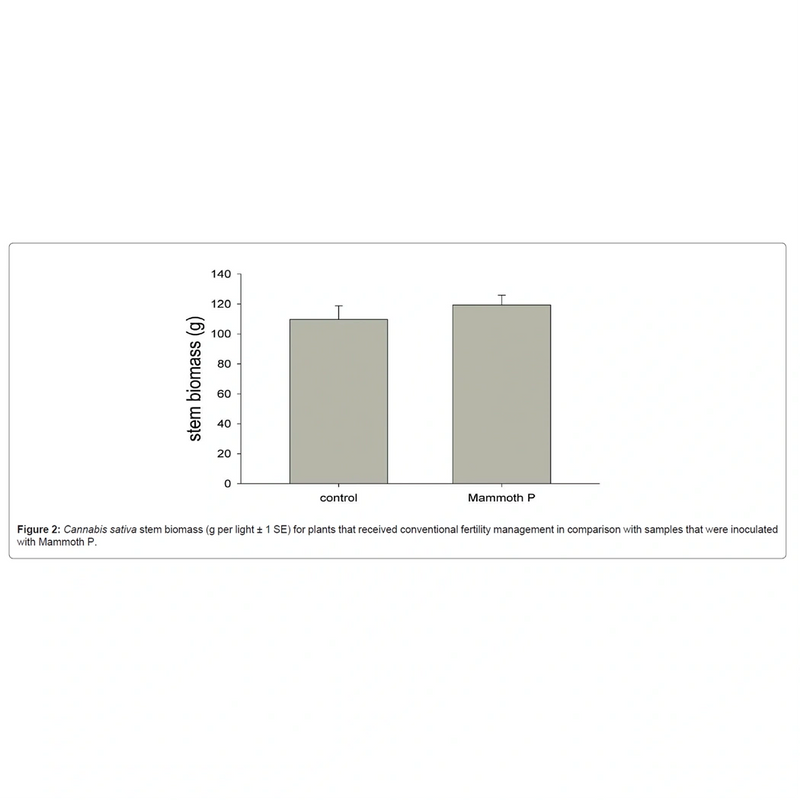 Mammoth P Active Microbials - 250 ml