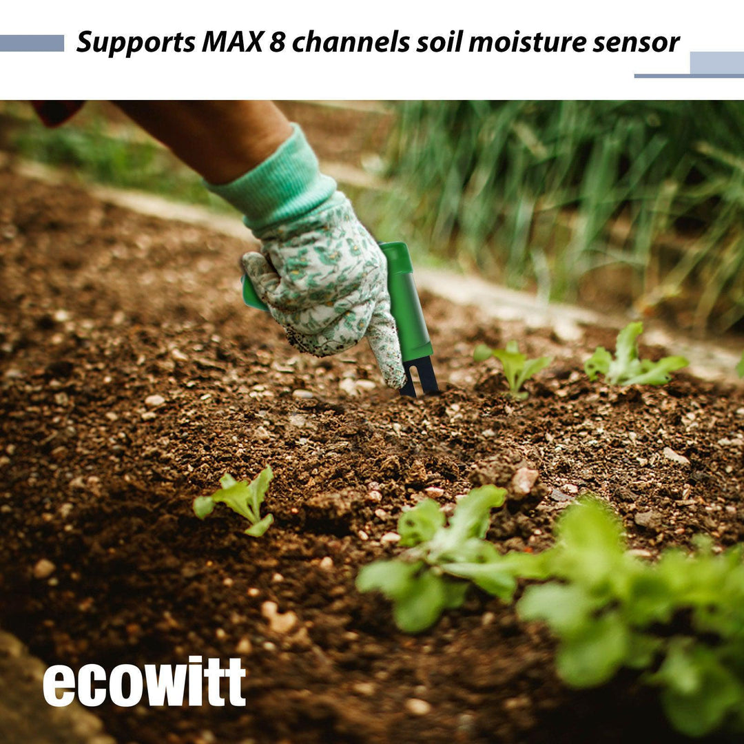 Ecowitt Wireless Soil Moisture Meter