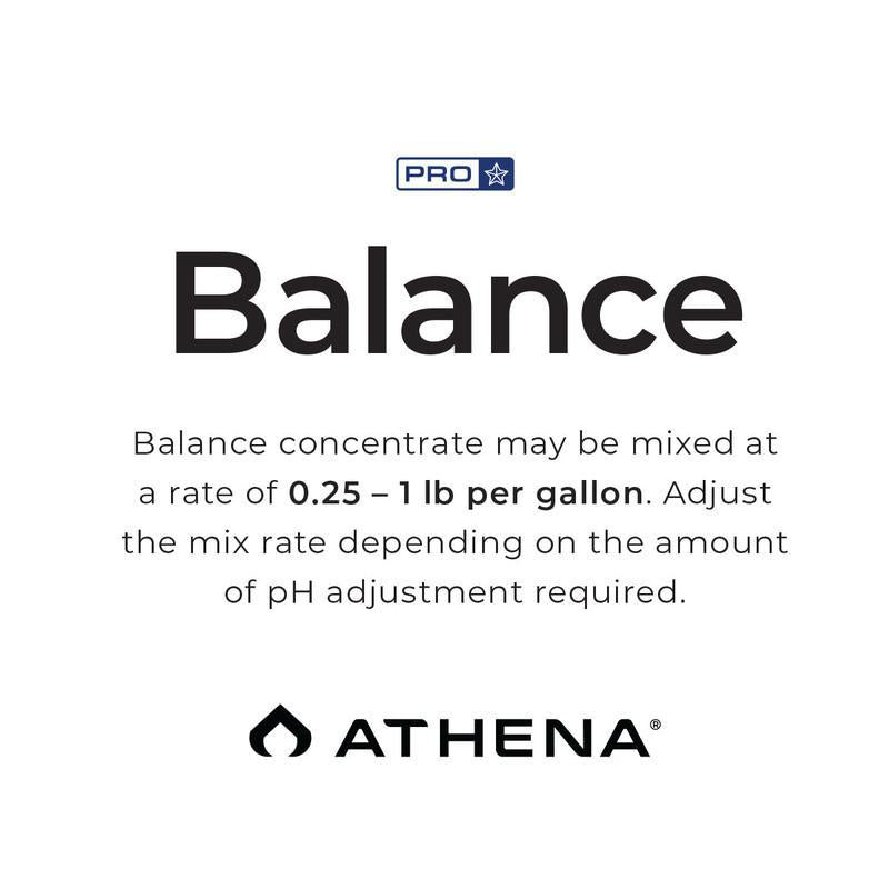 Athena Pro Balance - 10lb