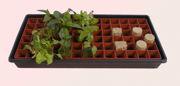 Grodan Gro-Smart Tray Insert