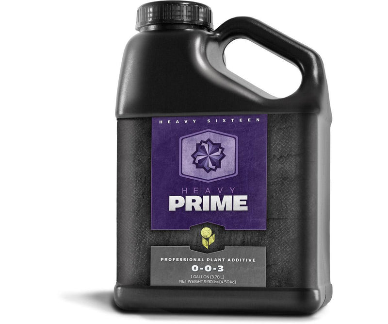 Heavy 16 Prime - Quart