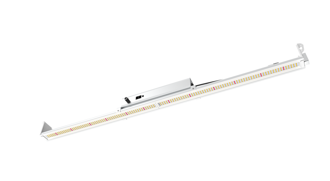 Mammoth Lighting - 100w Single Bar - Multi Use