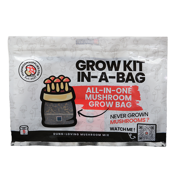 MushroomSupplies – Grow Kit In-A-Bag