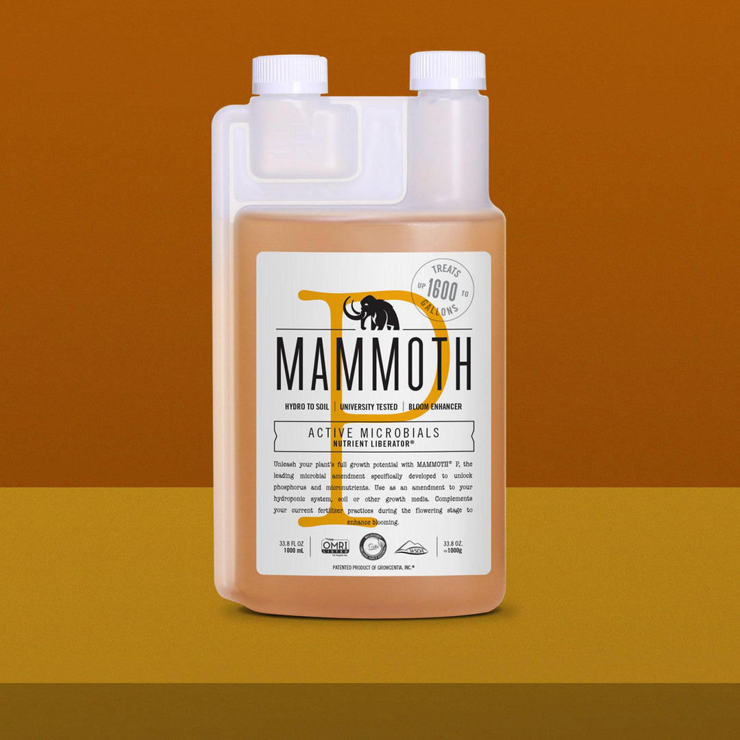 MAMMOTH P