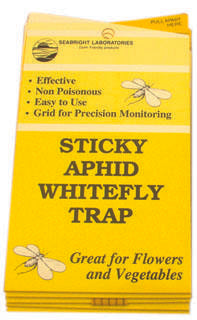 Aphid/Whitefly Traps Yellow - 5 pack