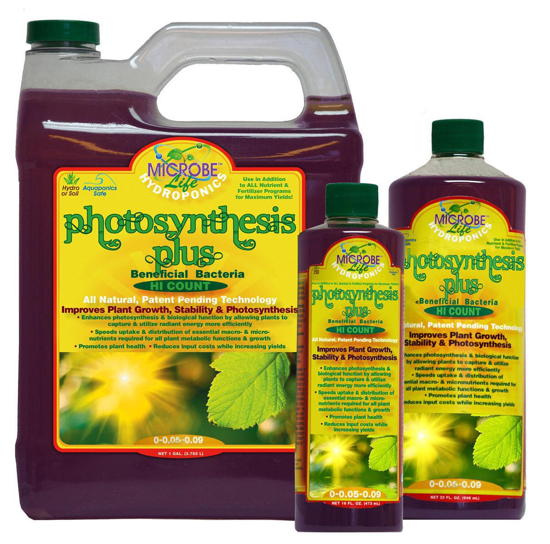 Microbe Life Photosynthesis Plus