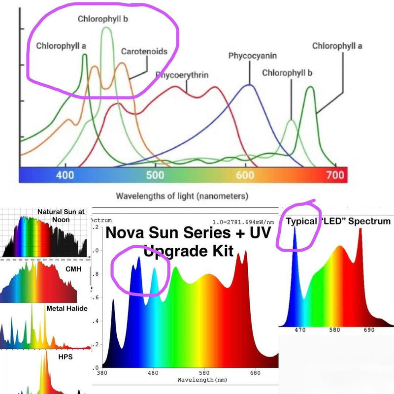 Mammoth Lighting - Nova Sun Series Multi-use Bars: 2 Bar Kit 300w - Default Title