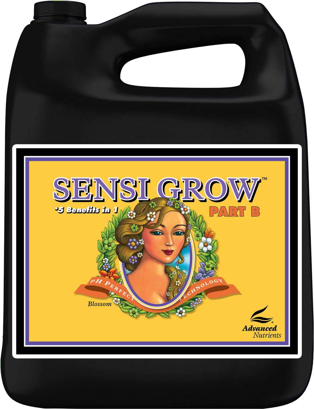 Advanced Nutrients Sensi Grow Part B