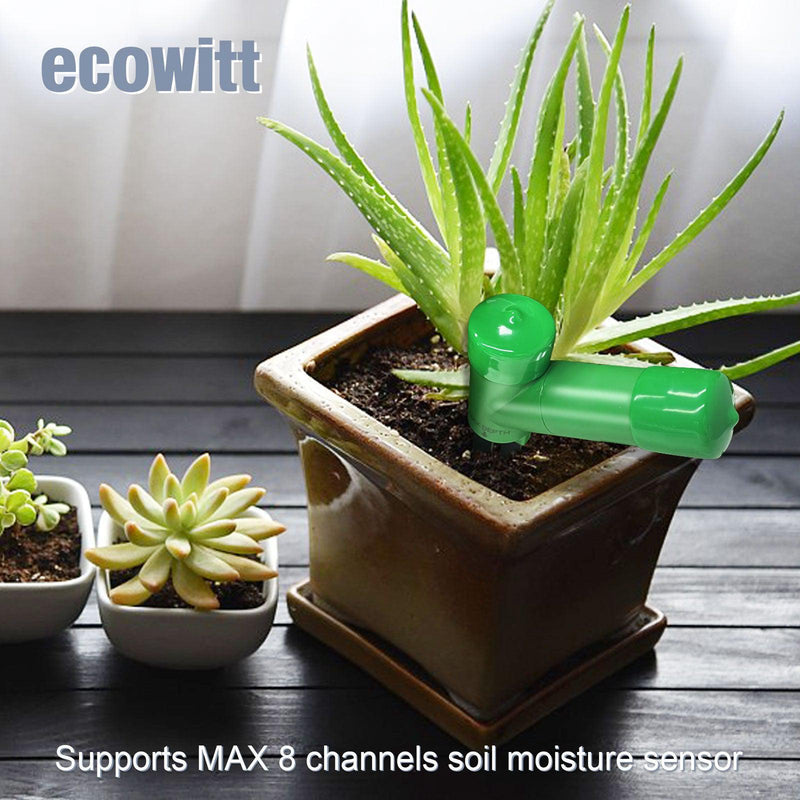 succulent moisture meter Ecowitt Wireless Soil Moisture Meter WH51 – Greener Gardens
