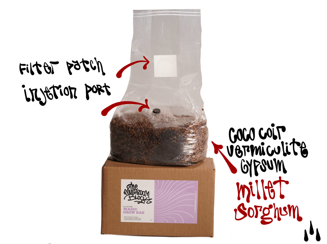 The Mushroom Block - All-In-One Grow Bag