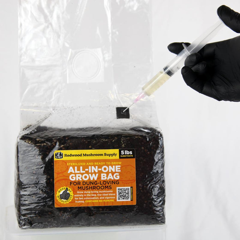Redwood Mushroom Supply - CVG All-in-One - 5 lb Bag