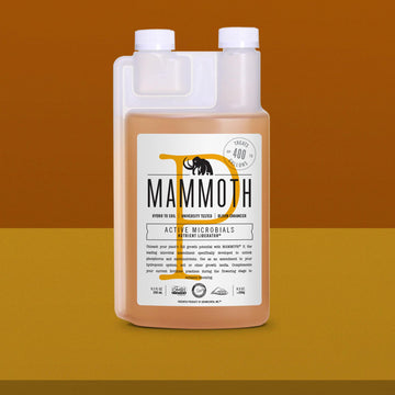 MAMMOTH P