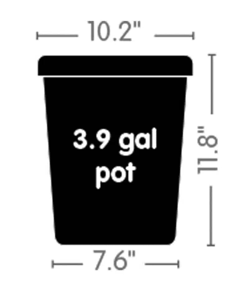 AutoPot Plastic Pots