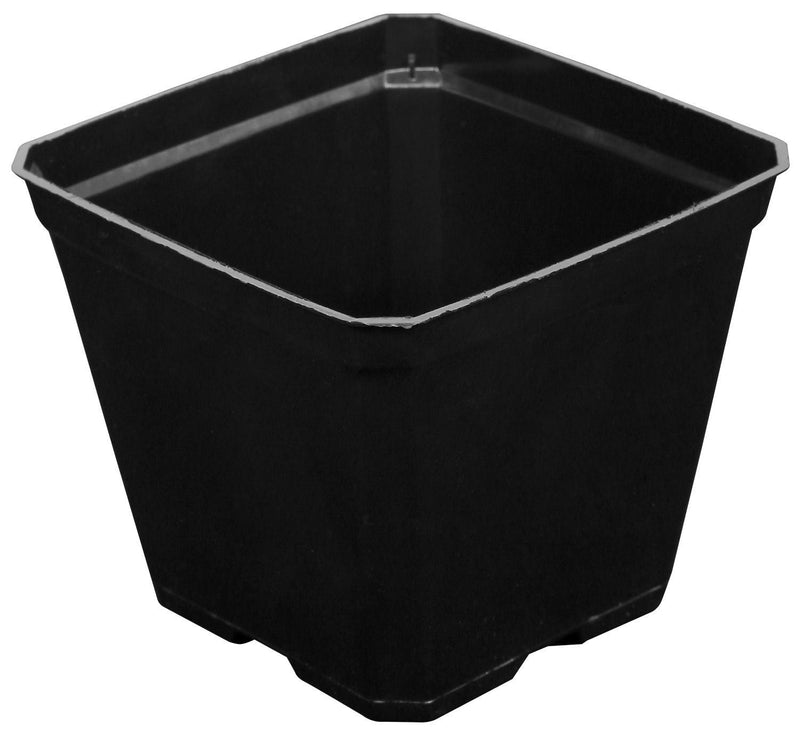 Gro Pro Black Plastic Pots - 3.5 in x 3.5 in x 3 in