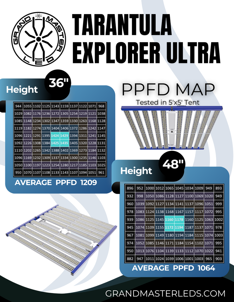 Grand Master Tarantula Explorer Ultra - 120V
