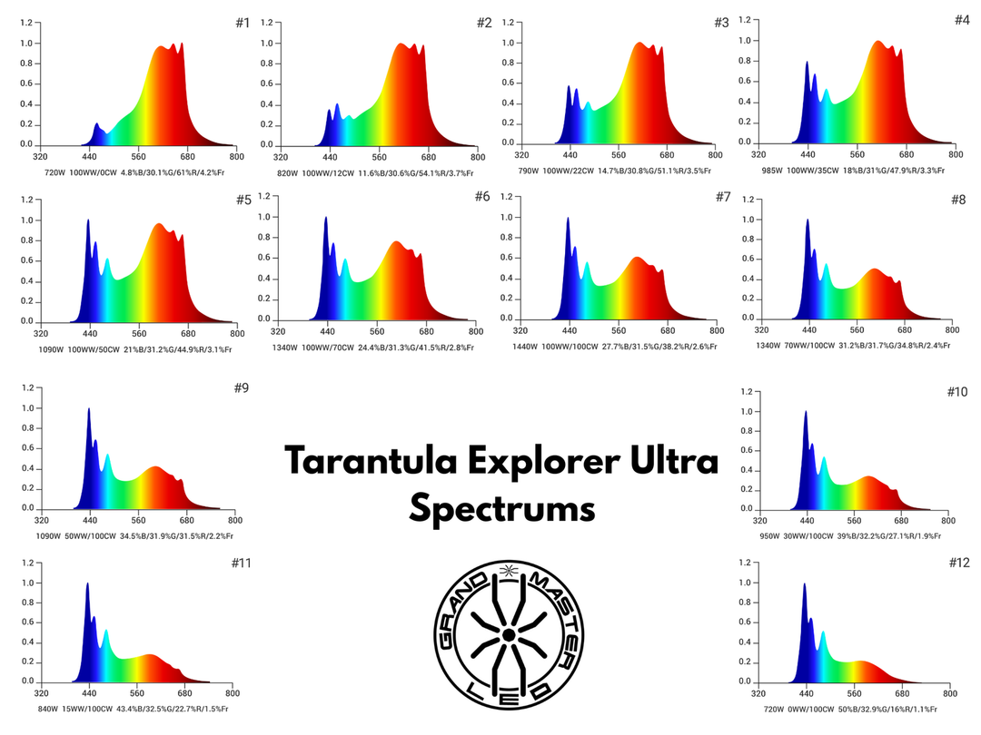 Grand Master Tarantula Explorer Ultra