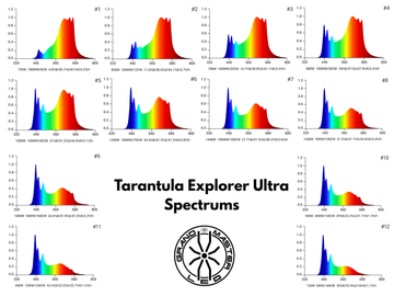 Grand Master Tarantula Explorer Ultra