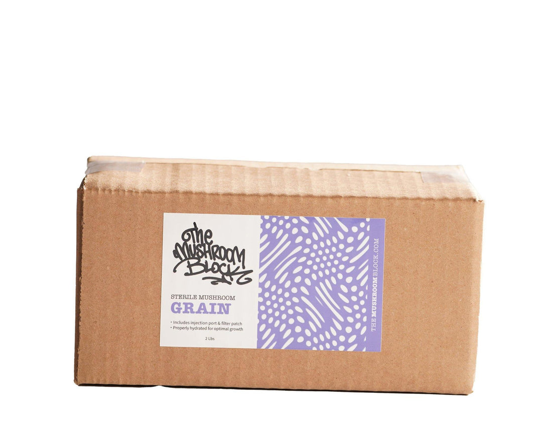 The Mushroom Block - Sterilized Grain Bag