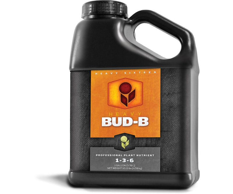 Heavy 16 BUD B - Quart