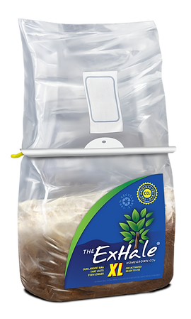 ExHale CO2 Bag