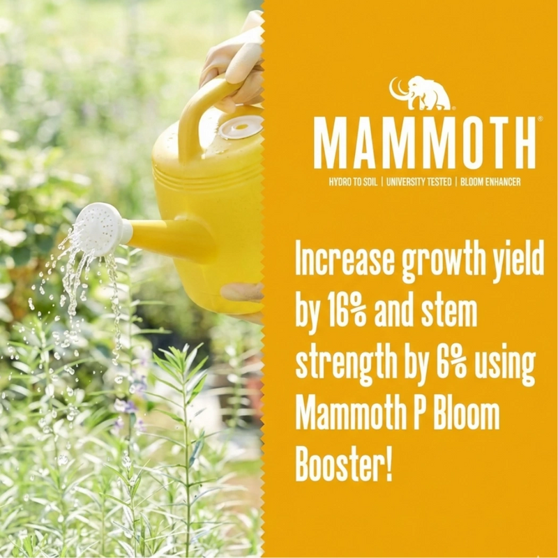 Mammoth P Active Microbials - 250 ml