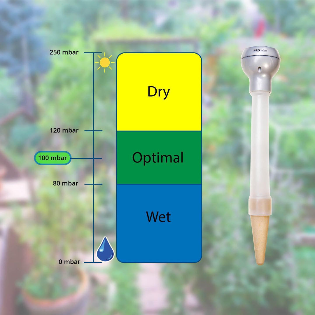 Blumat Digital Moisture Meter