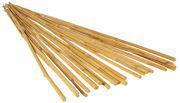 Bamboo Stakes