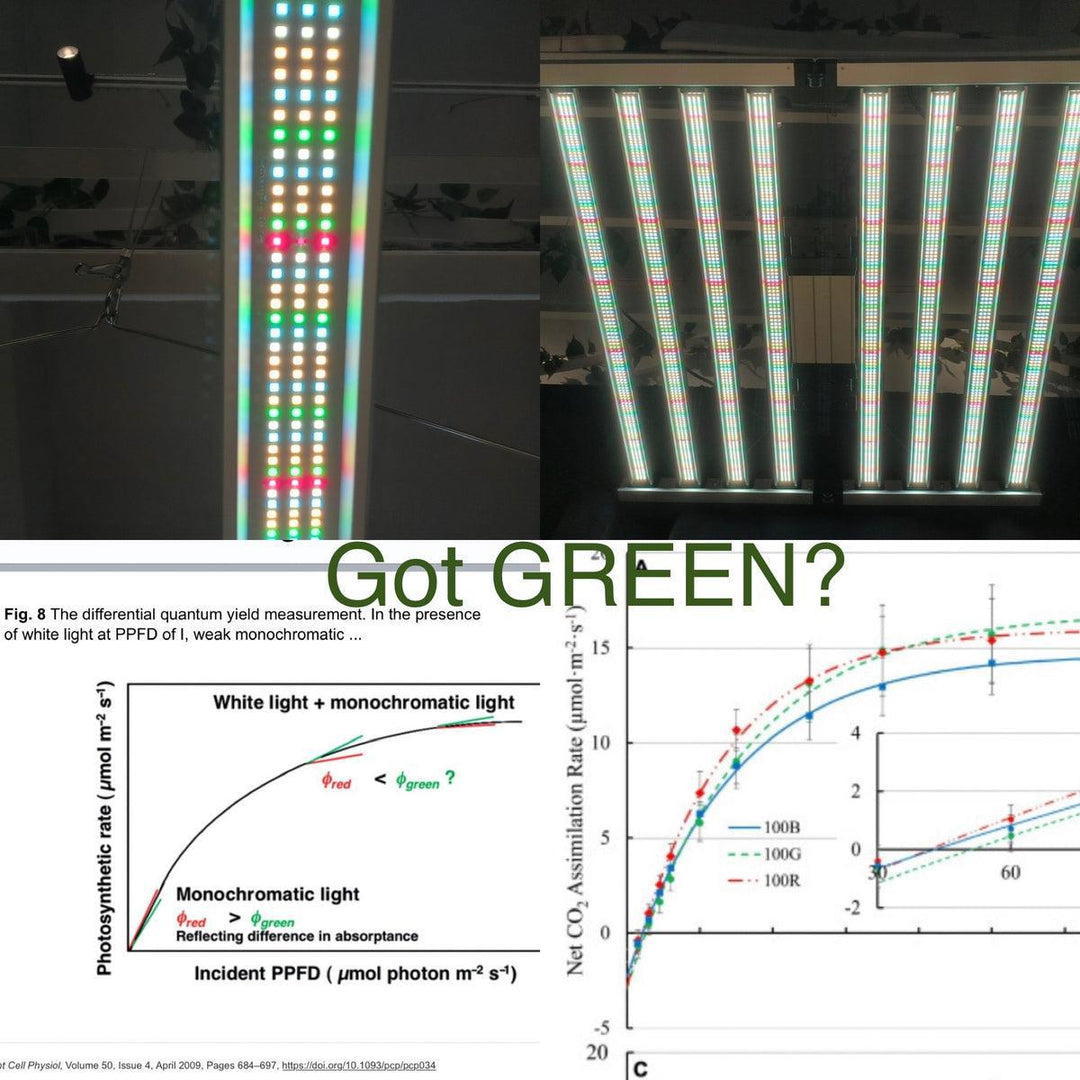 Mammoth Lighting - 8 Bar 880W  Mint White Series with Emerald Green Canna Spectrum