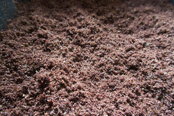 The Mushroom Block - Sterilized Substrate Bag
