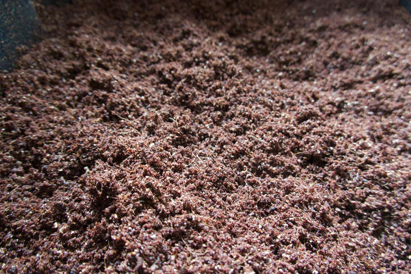 The Mushroom Block - Sterilized Substrate Bag - 4 lb