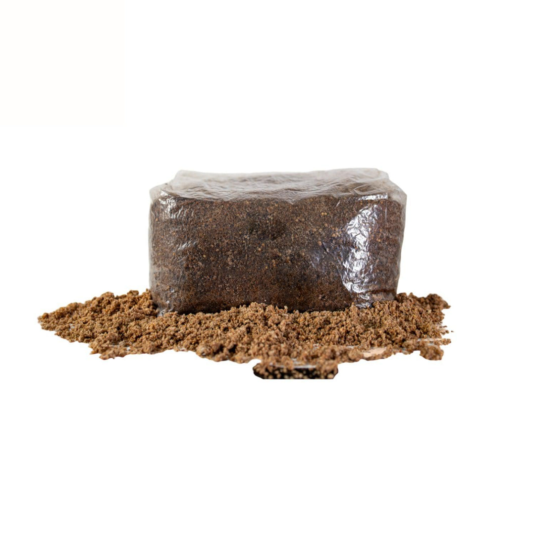 Mushroom Growing Supplies - Sterilized Wood Substrate