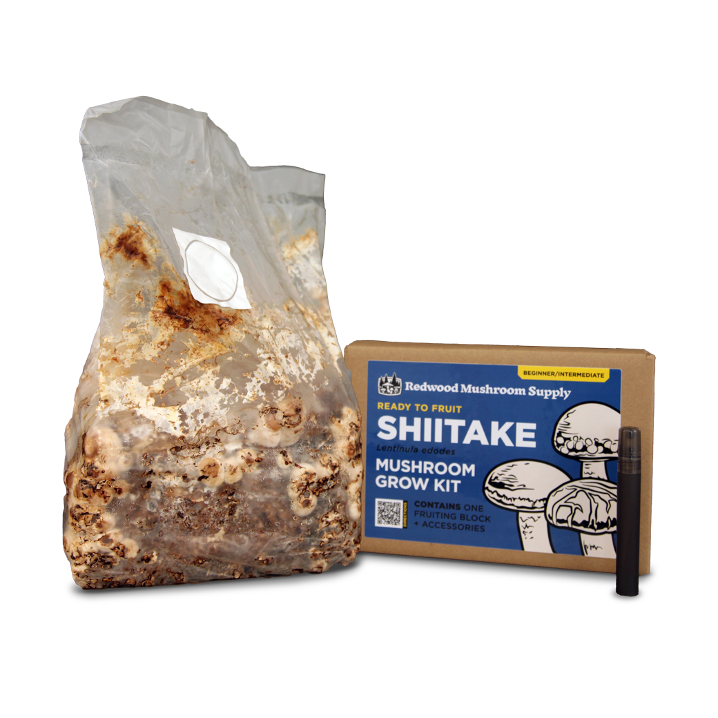 Redwood Mushroom Supply - Colonized Fruiting Blocks