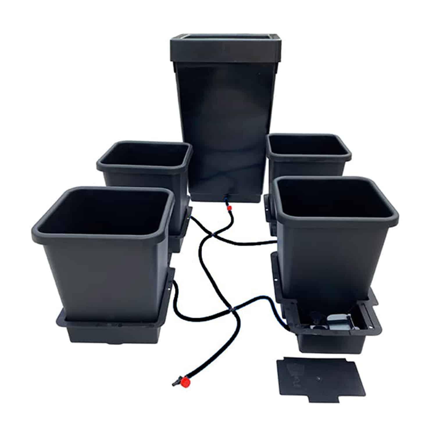 Grow Kits & Systems – Greener Gardens