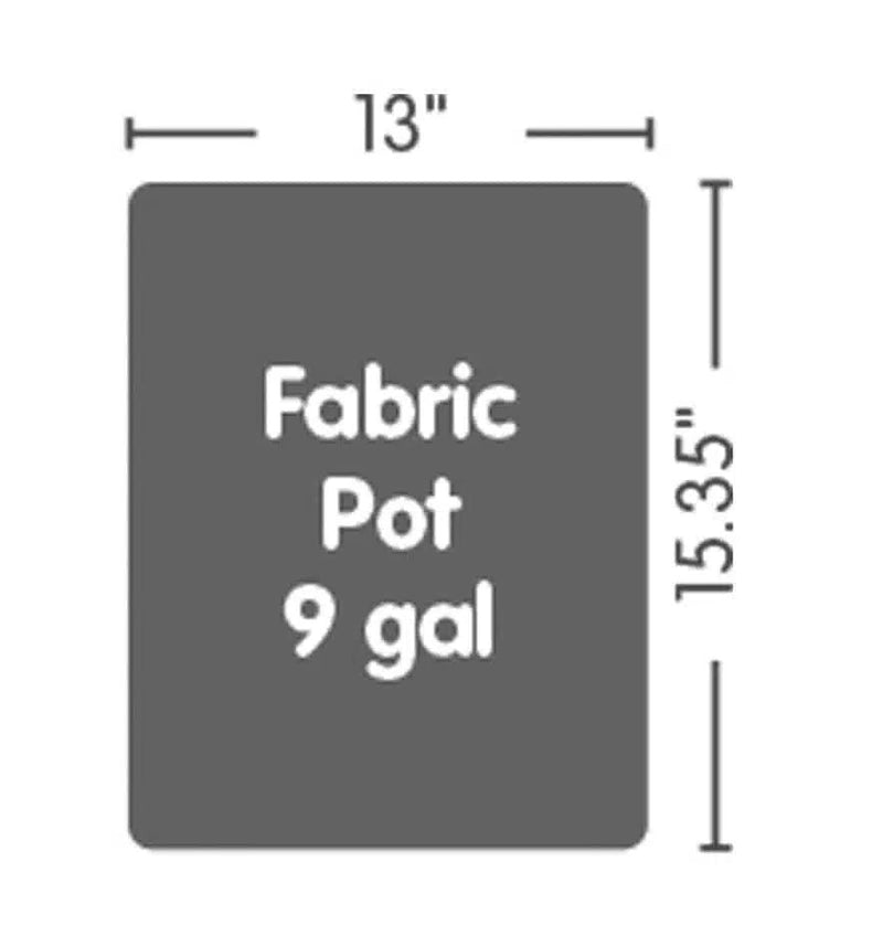 AutoPot 1Pot XXL Systems - 9 Gallon Fabric FlexiPot - 1Pot XXL System - 9 gal fabric FlexiPot