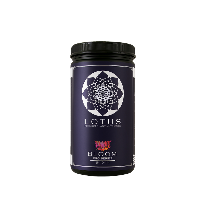 Lotus Bloom - 16 oz