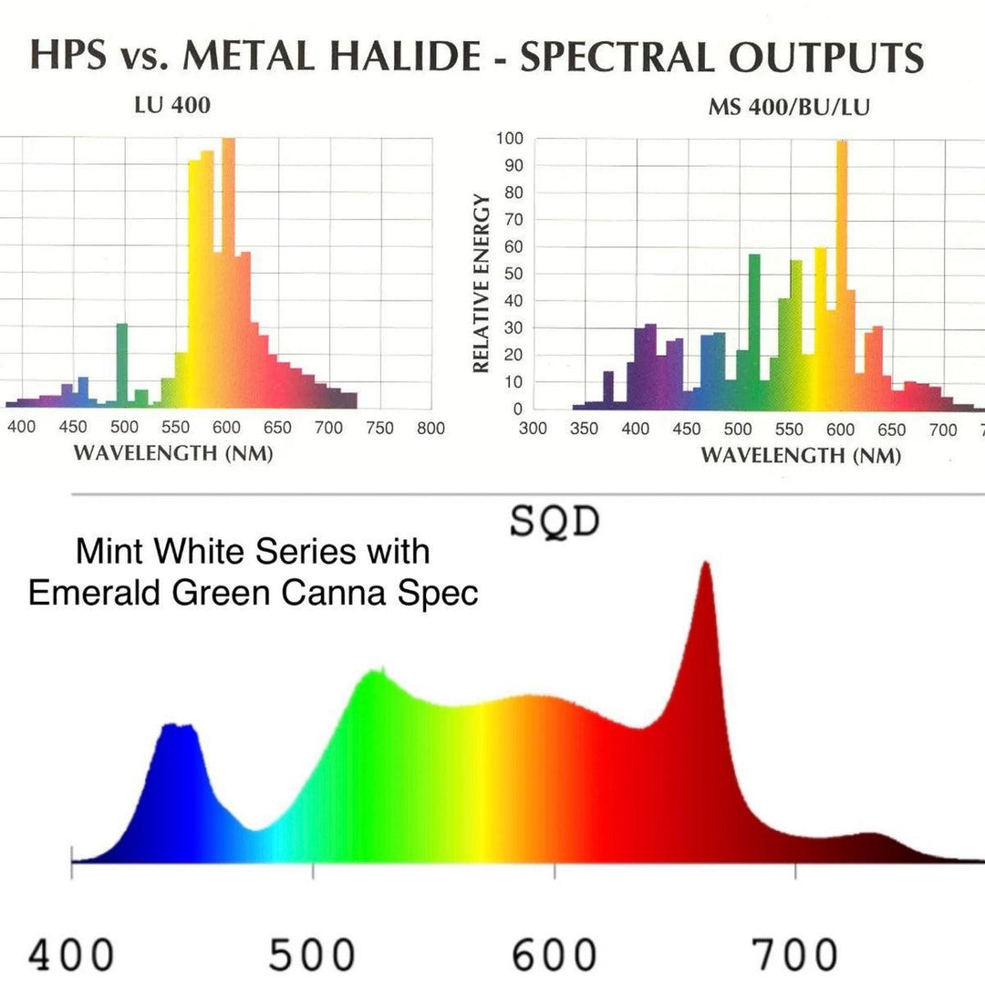 Mammoth Lighting - 8 Bar 880W  Mint White Series with Emerald Green Canna Spectrum